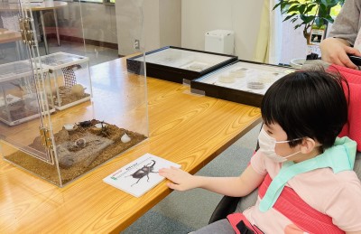 0718A28F-0082-40B7-96D7-5272FC7A2172