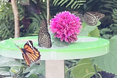 15DC8DD0-2D45-48A1-91B2-247D638B3D33