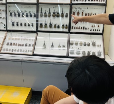 CBA5338A-739D-47AB-9E2F-CD35E19F4FE7