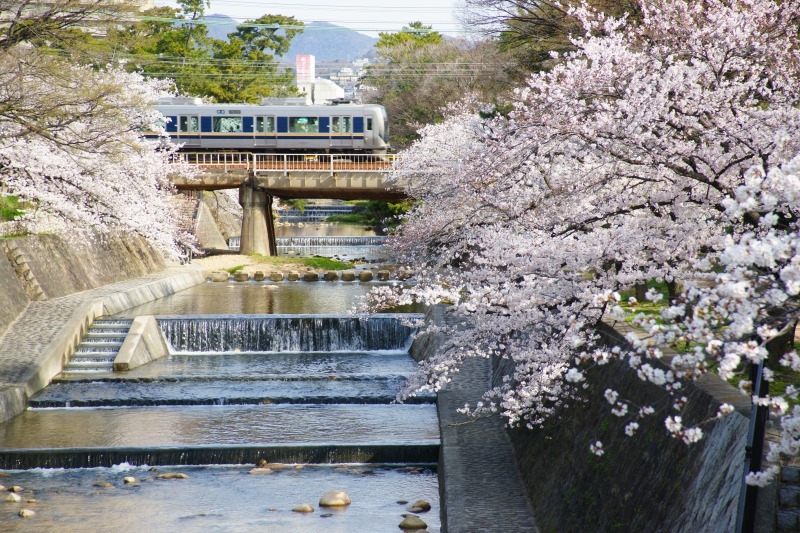 imgi_7_AdobeStock_643529144